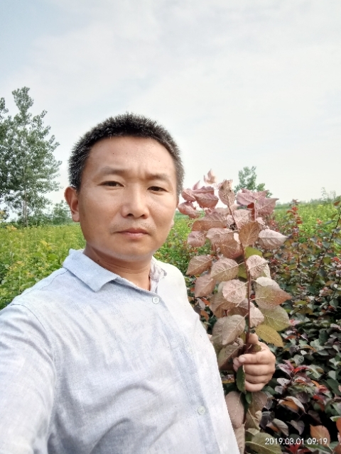 孩子爸的第一张照片--柳州相亲服务中心