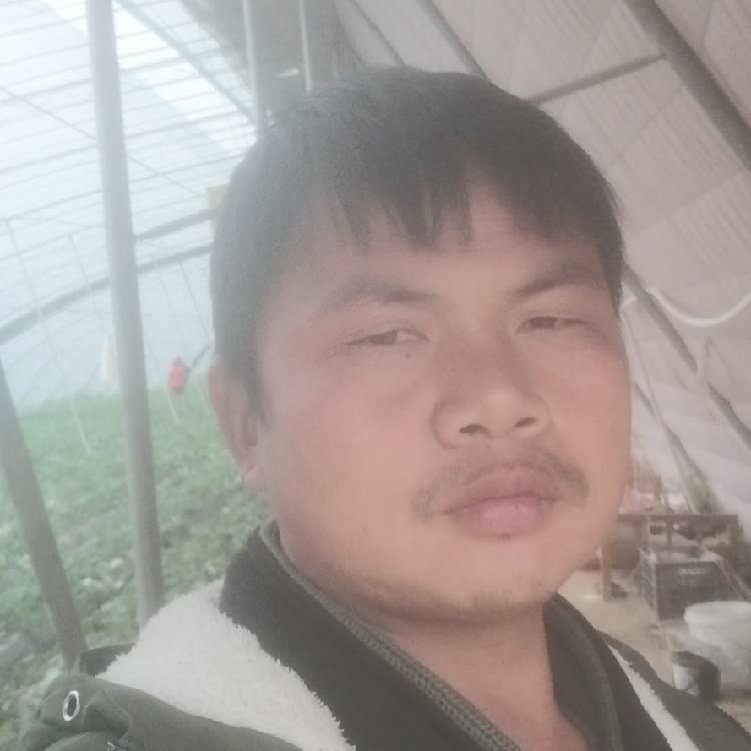 孤狼‘的第一张照片--柳州相亲服务中心