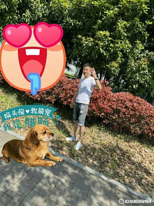 我若不坚强谁替我勇敢的第五张照片--柳州相亲服务中心
