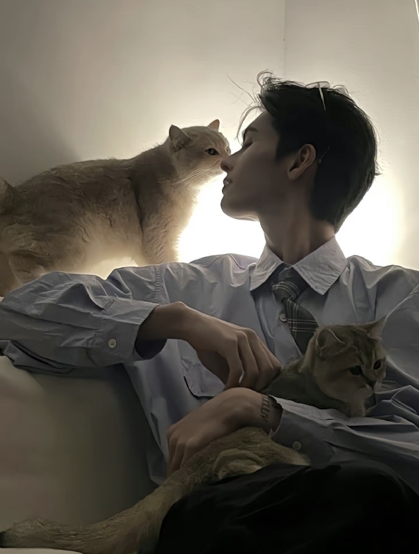 怪猫的第一张照片--柳州相亲服务中心