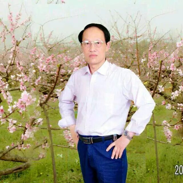 枫叶的第一张照片--柳州相亲服务中心
