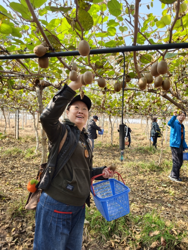 夜莺的第三张照片--柳州相亲服务中心